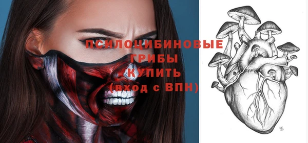 COCAINE Переславль-Залесский